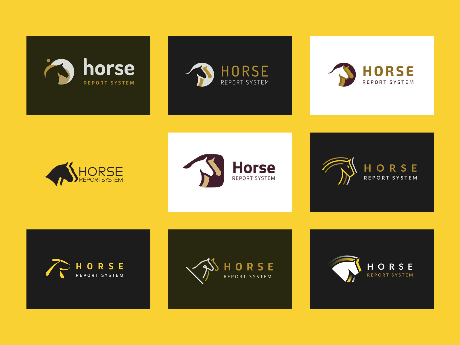 Emblem design for Madame FC depicting an M monogram in a circle with the words "Madame FC EST. 2003" inside on top of a background image of a soccer stadium.